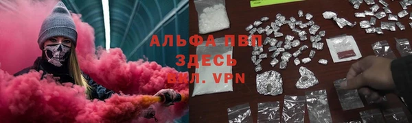 ГАЛЛЮЦИНОГЕННЫЕ ГРИБЫ Волосово