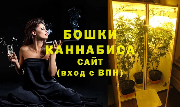 сатива Струнино