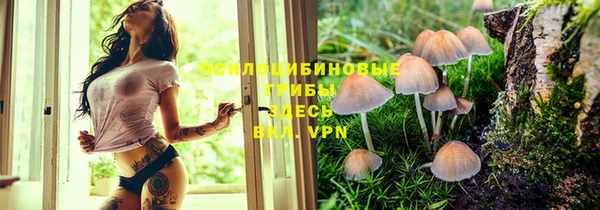 ГАЛЛЮЦИНОГЕННЫЕ ГРИБЫ Волосово