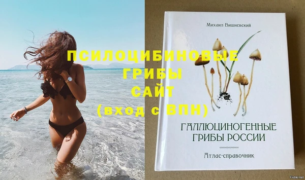 a pvp Сосновый Бор