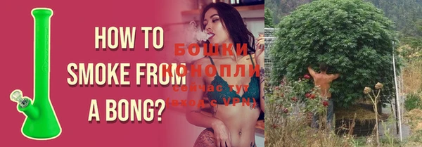 ГАЛЛЮЦИНОГЕННЫЕ ГРИБЫ Волосово