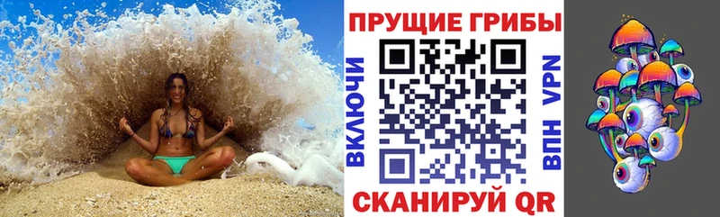 Купить где  Райчихинск  Галлюциногенные грибы Cubensis 